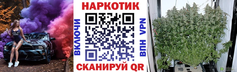 Виды наркоты Цивильск СОЛЬ АМФ Гашиш МЕФ Конопля КОКАИН