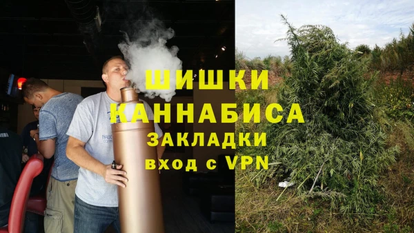 ПСИЛОЦИБИНОВЫЕ ГРИБЫ Алзамай