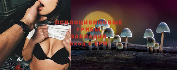 ПСИЛОЦИБИНОВЫЕ ГРИБЫ Алзамай