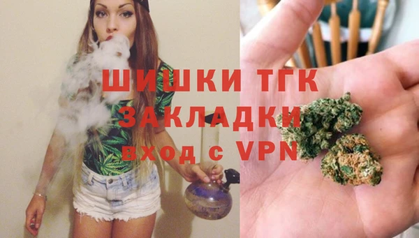 ПСИЛОЦИБИНОВЫЕ ГРИБЫ Алзамай